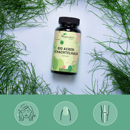 Cola de Caballo Extracto Cápsulas Orgánico