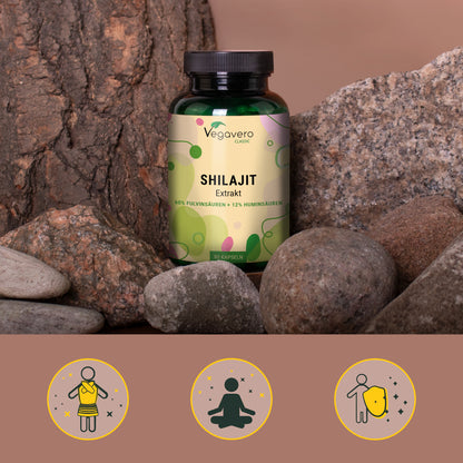 Shilajit Extracto Cápsulas