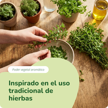Aceite de Orégano Cápsulas Orgánico