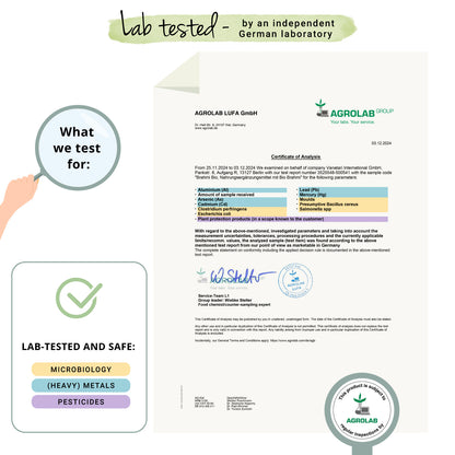 Brahmi Comprimidos Orgánico