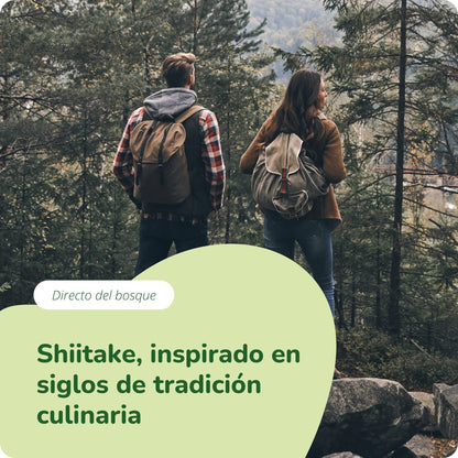 Shiitake Extracto Cápsulas