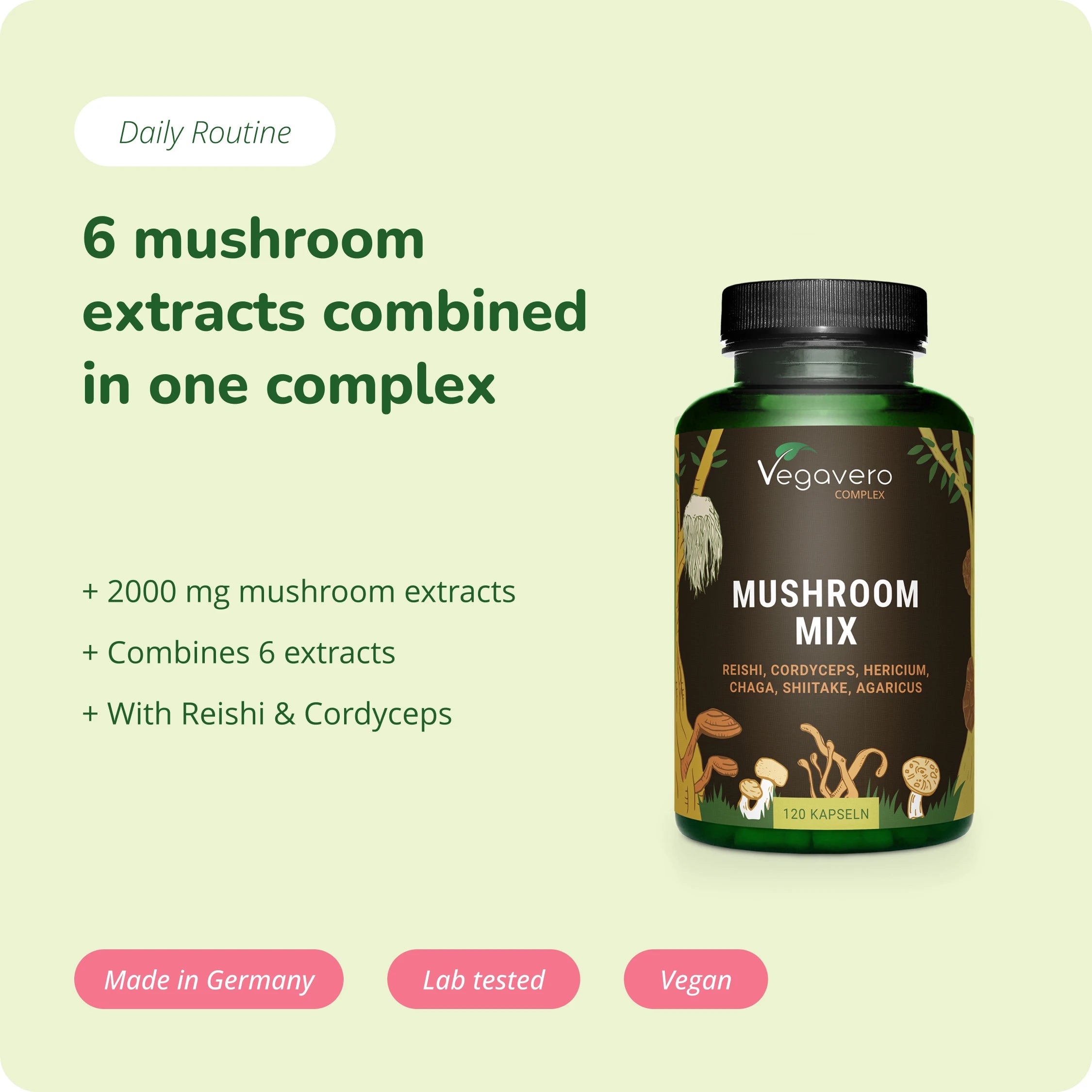 Mushroom Mix Complex Cápsulas