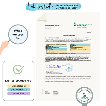 Arándano + Corteza de Pino Extractos Cápsulas Orgánico