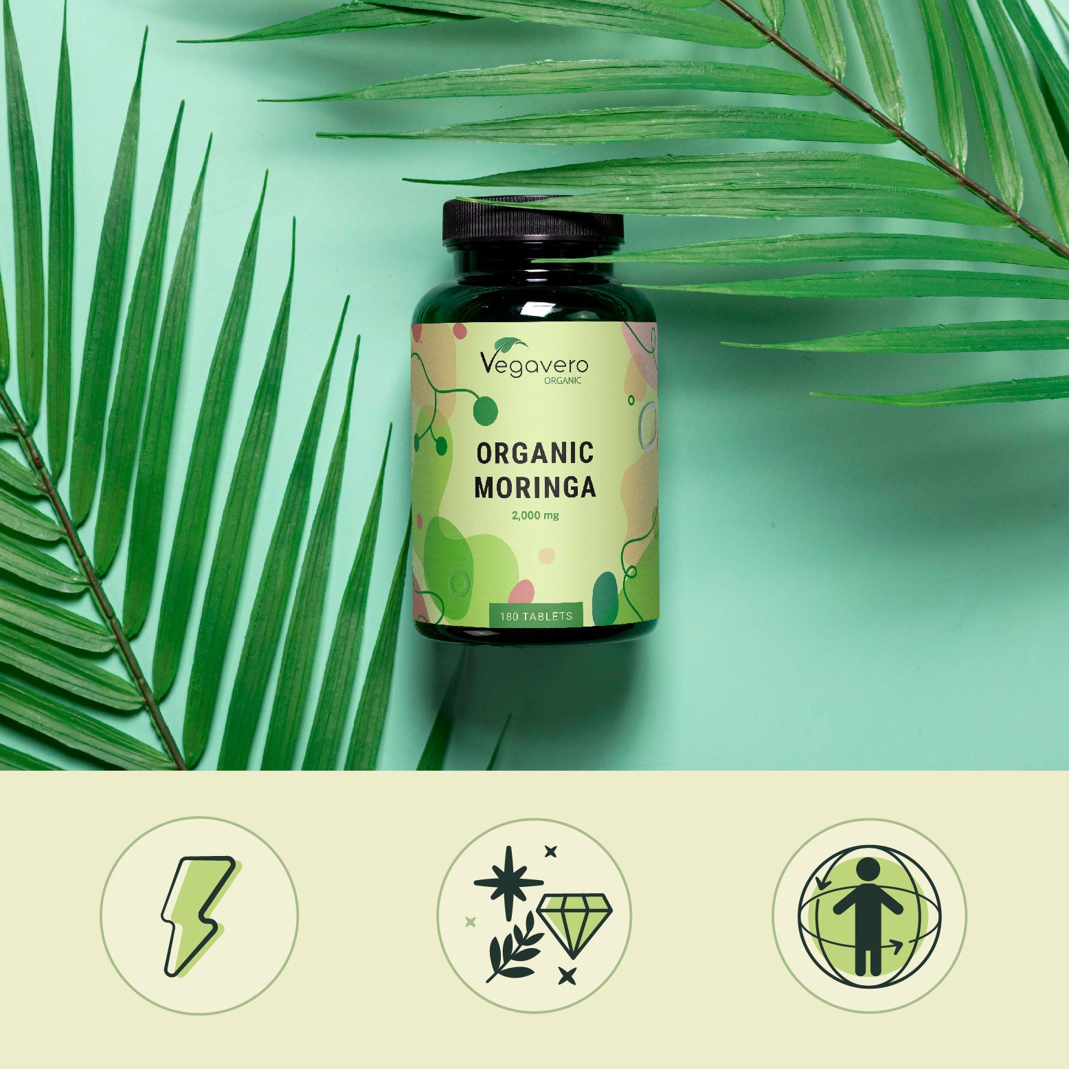 Moringa Oleifera Comprimidos Orgánico