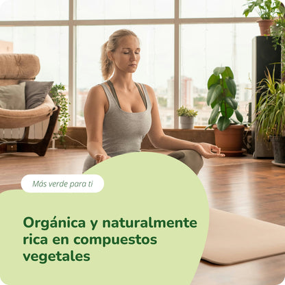 Moringa Oleifera Comprimidos Orgánico