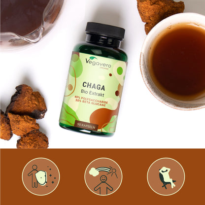 Chaga Extracto Cápsulas Orgánico