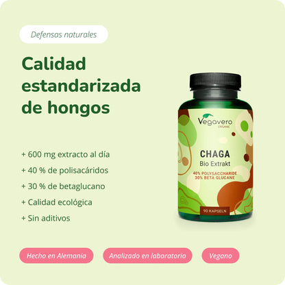 Chaga Extracto Cápsulas Orgánico