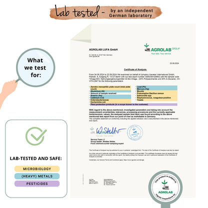 Chaga Extracto Cápsulas Orgánico