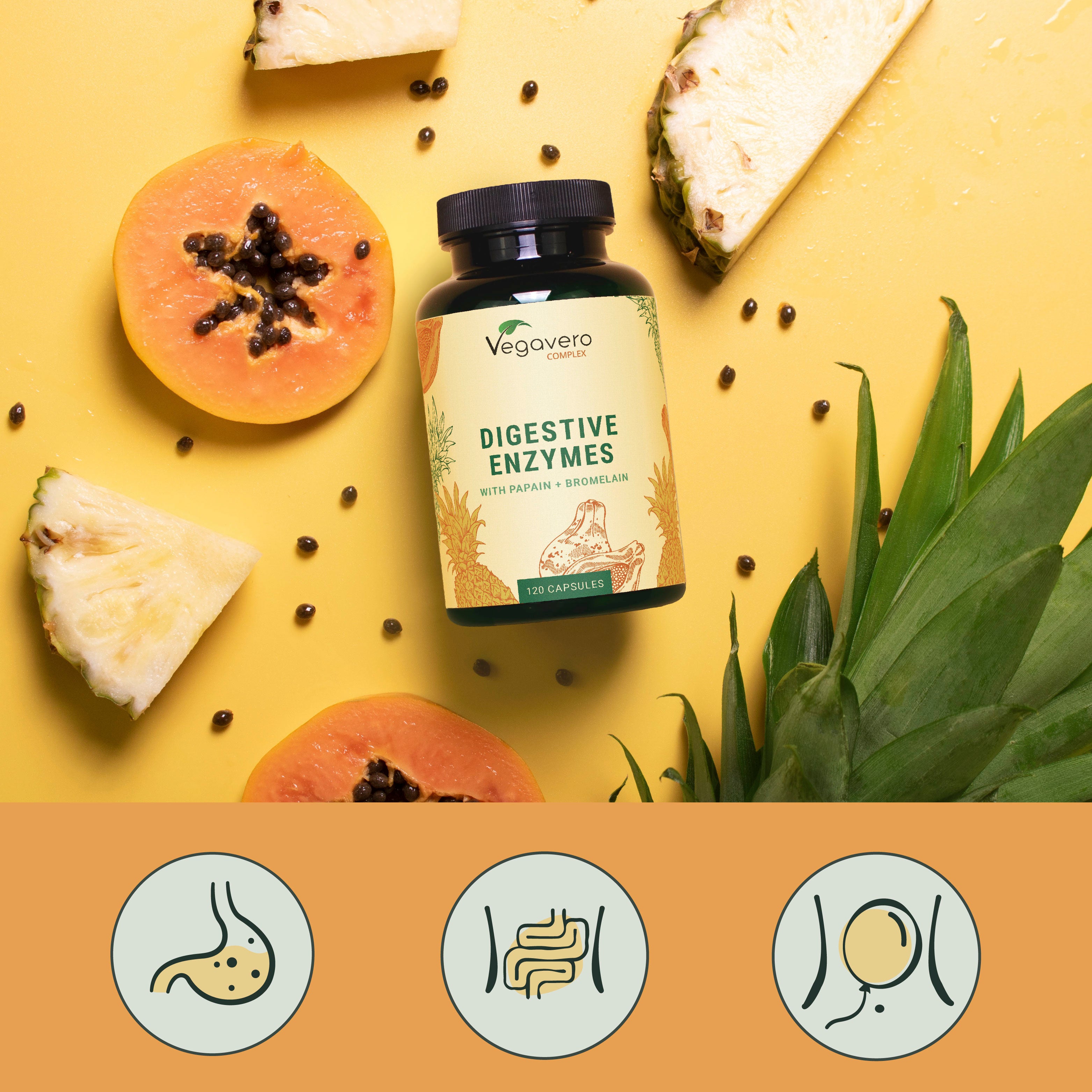 Enzimas Digestivas Complex Cápsulas