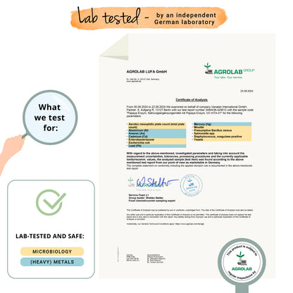 Papaya Enzimas Cápsulas