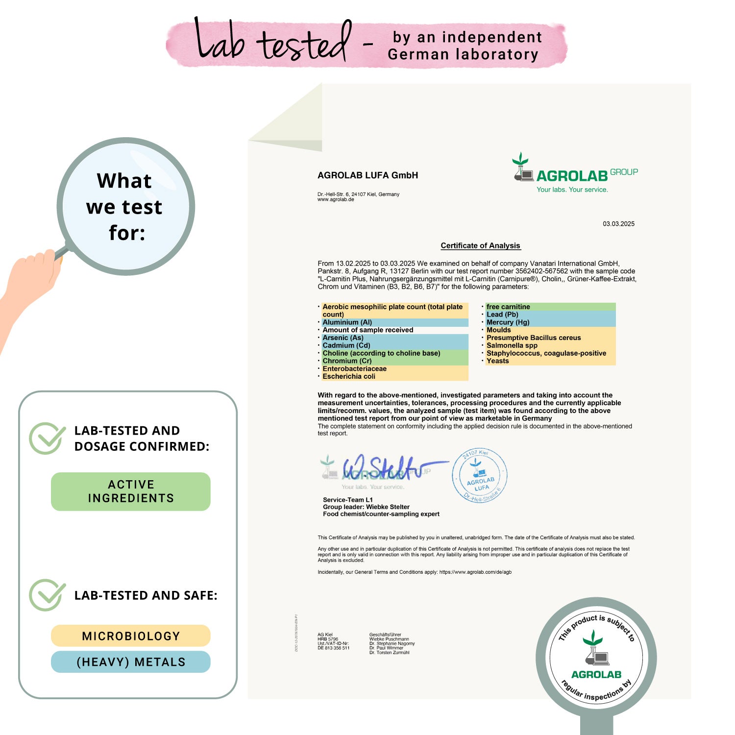 L-Carnitina Plus Cápsulas