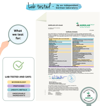 Garra del Diablo Extracto Cápsulas Orgánico