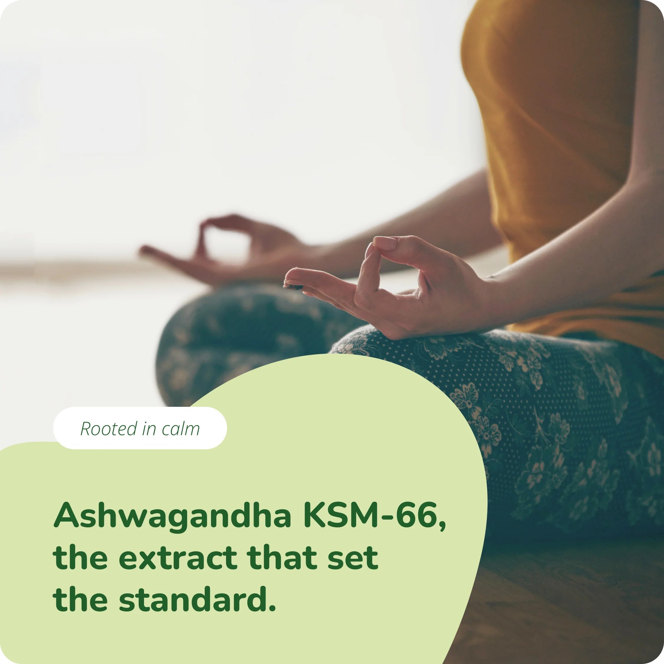 Ashwagandha KSM-66  Extracto Cápsulas Orgánico