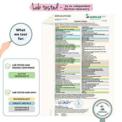 Vegan Pregnancy Complex Cápsulas