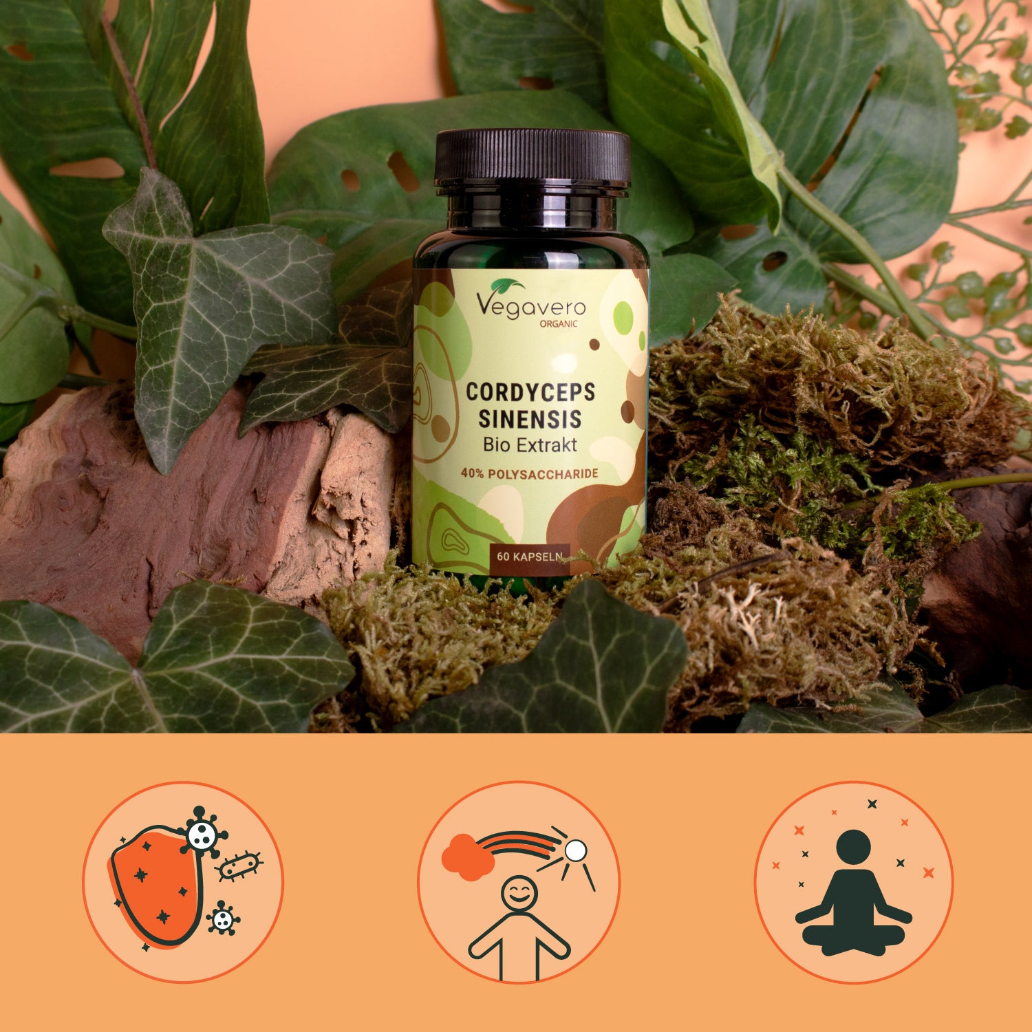 Cordyceps Sinensis Extracto Cápsulas Orgánico