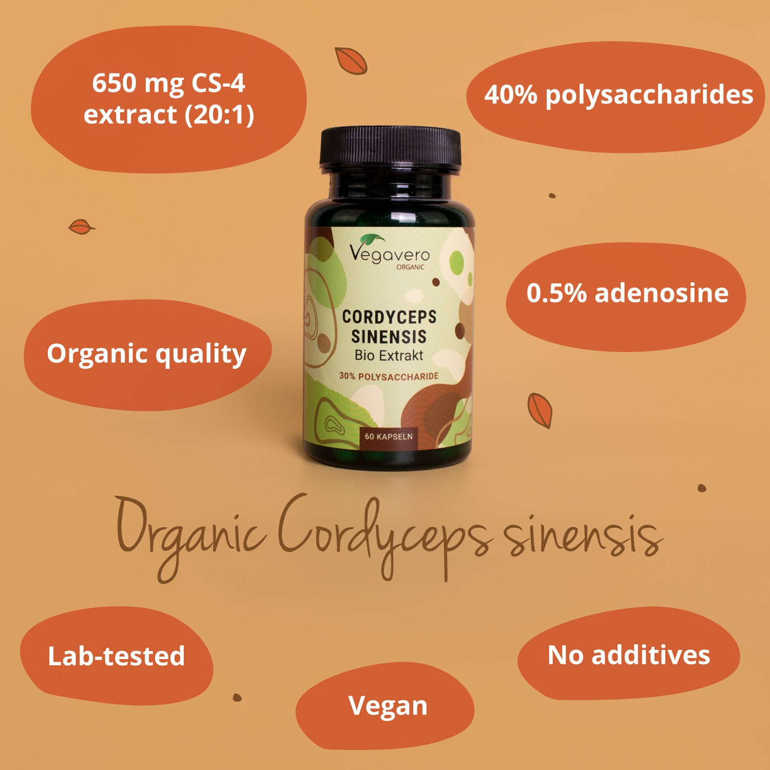 Cordyceps Sinensis Extracto Cápsulas Orgánico