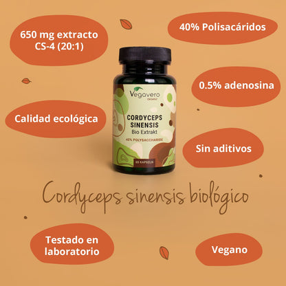 Cordyceps Sinensis Extracto Cápsulas Orgánico