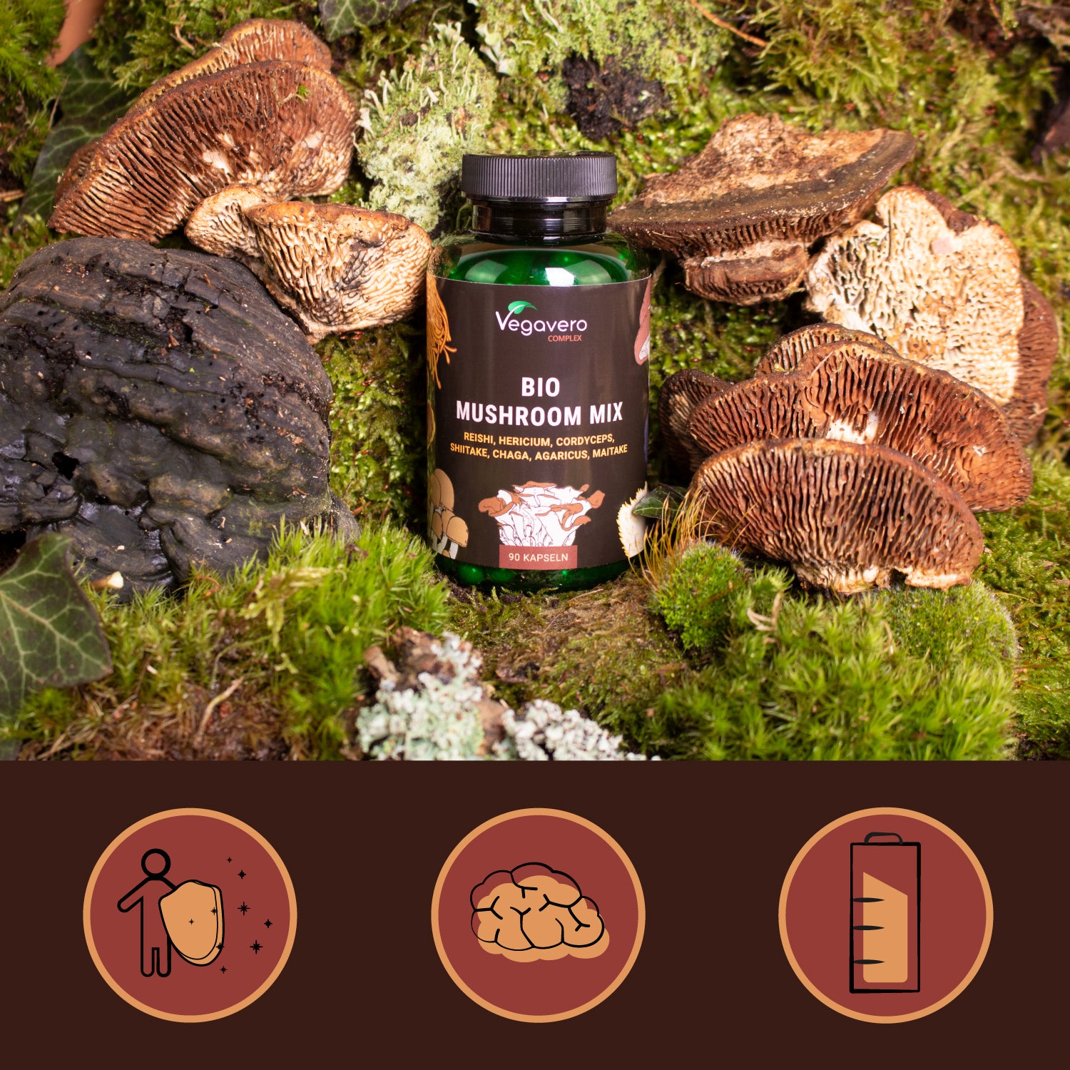 Mushroom Complex Cápsulas Orgánico