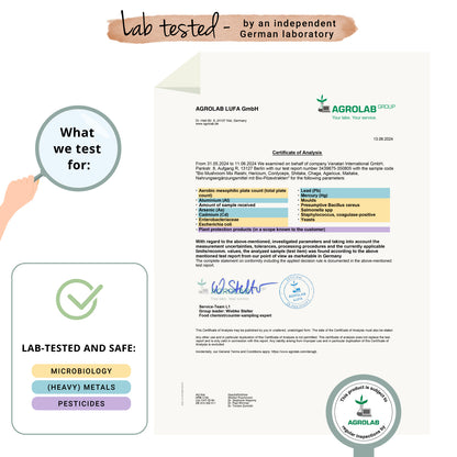 Mushroom Complex Cápsulas Orgánico
