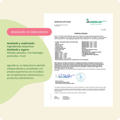 Astaxantina Aceite Cápsulas Orgánico