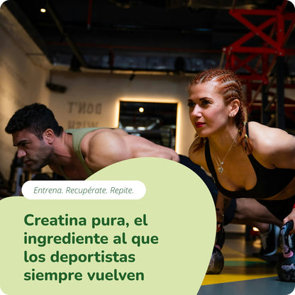 Creatina Monohidrato en Polvo