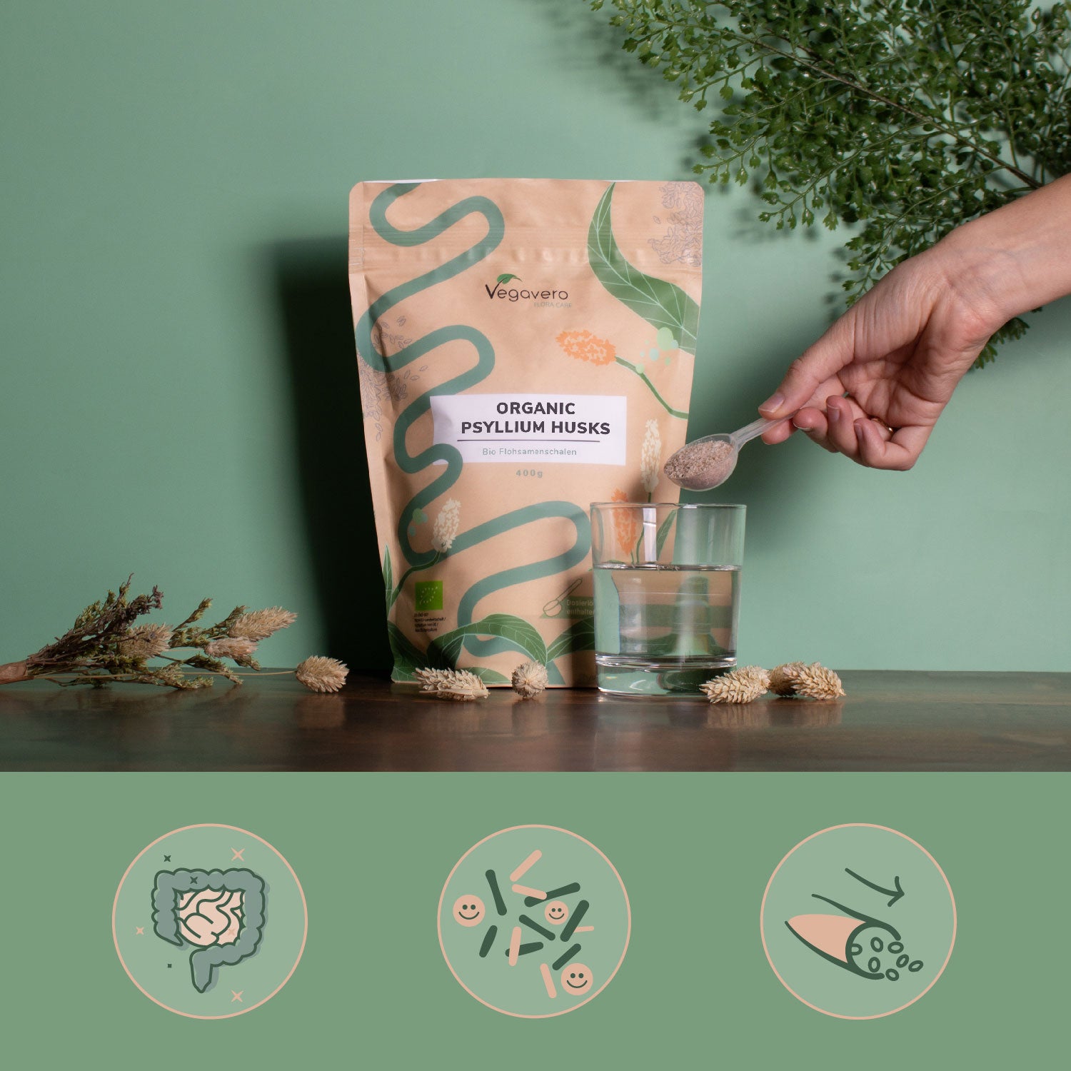 Cáscaras de Psyllium Orgánico