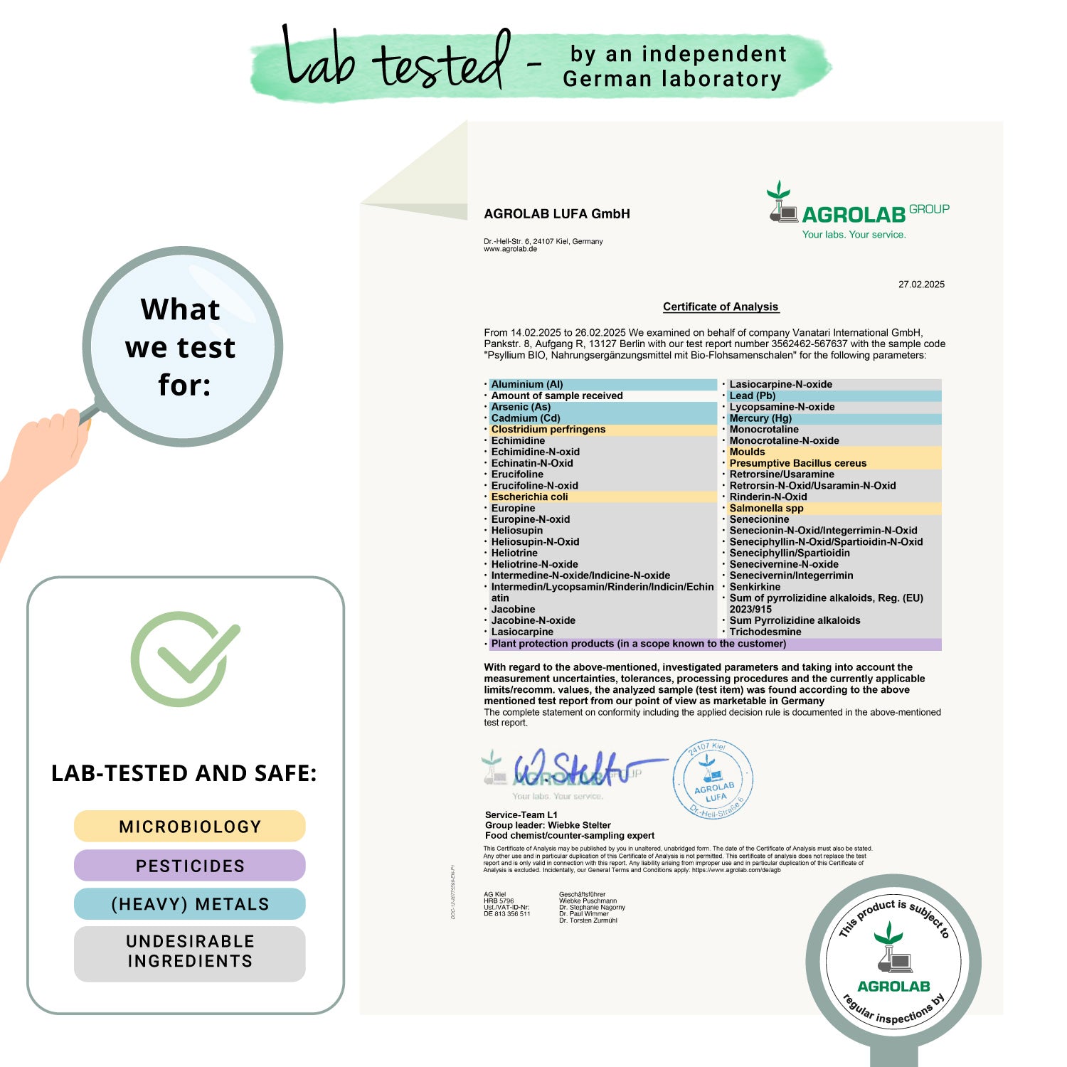 Cáscaras de Psyllium Orgánico