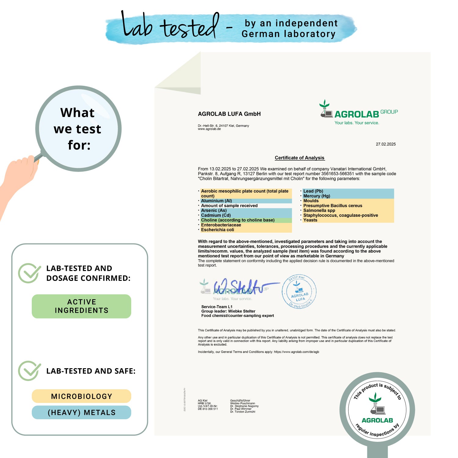 Colina Bitartrato Cápsulas