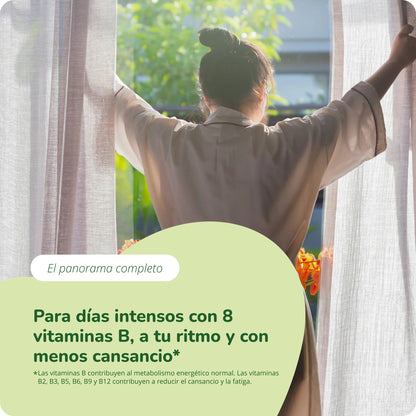 Vitamina B Plus Comprimidos