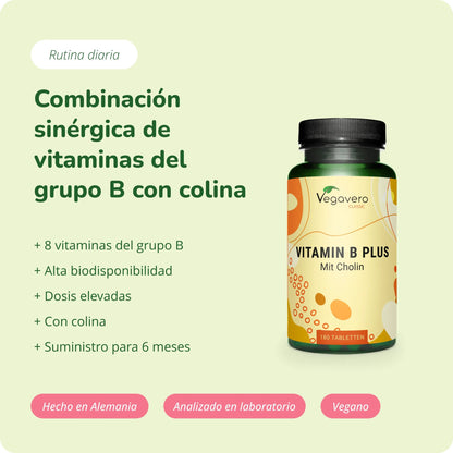 Vitamina B Plus Comprimidos