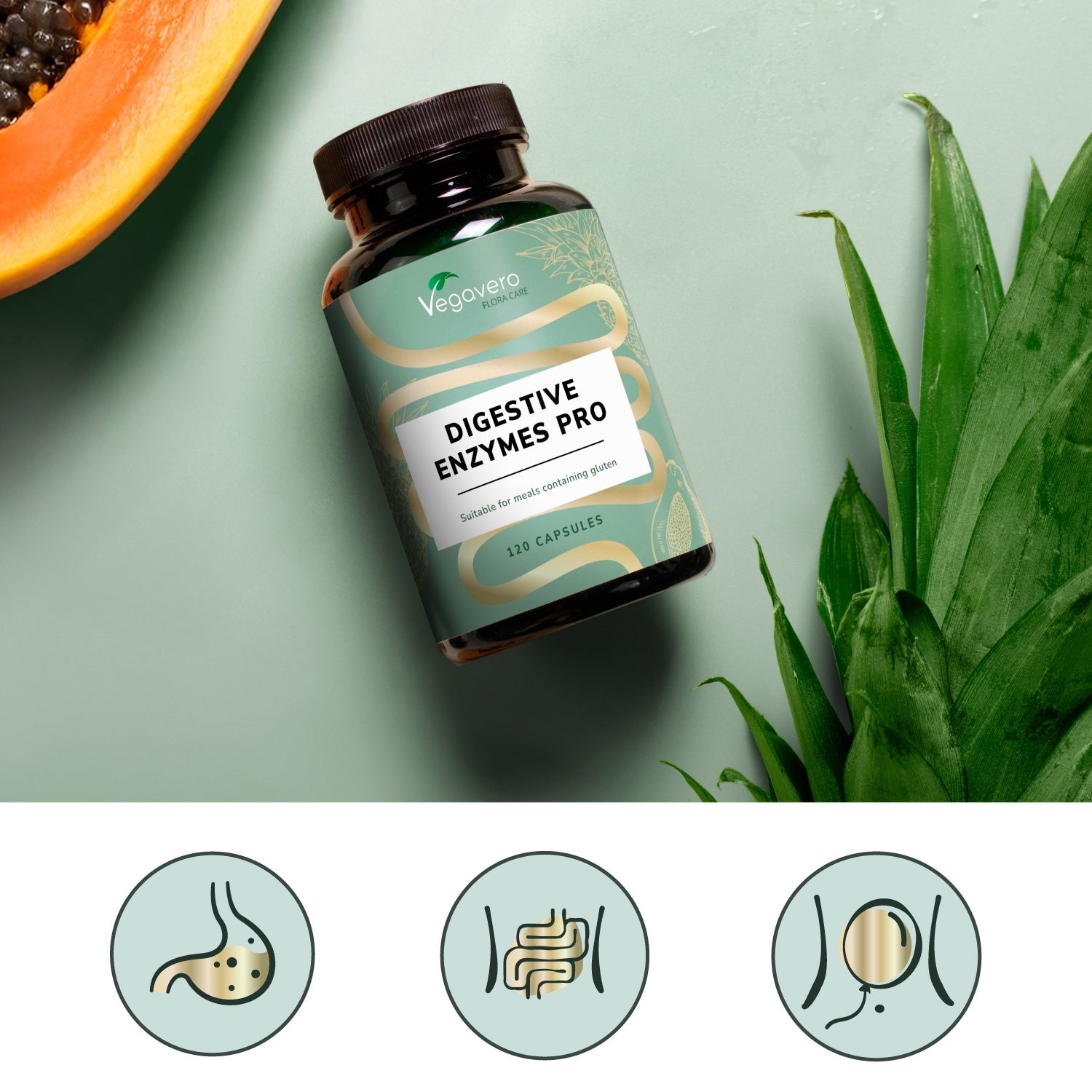 Enzimas Digestivas Pro Cápsulas