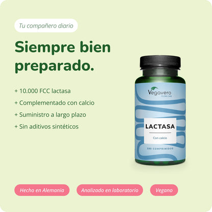 Lactasa Comprimidos