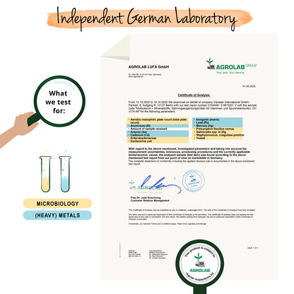Multivitamínico Plus Cápsulas