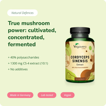 Cordyceps Sinensis Extracto Cápsulas