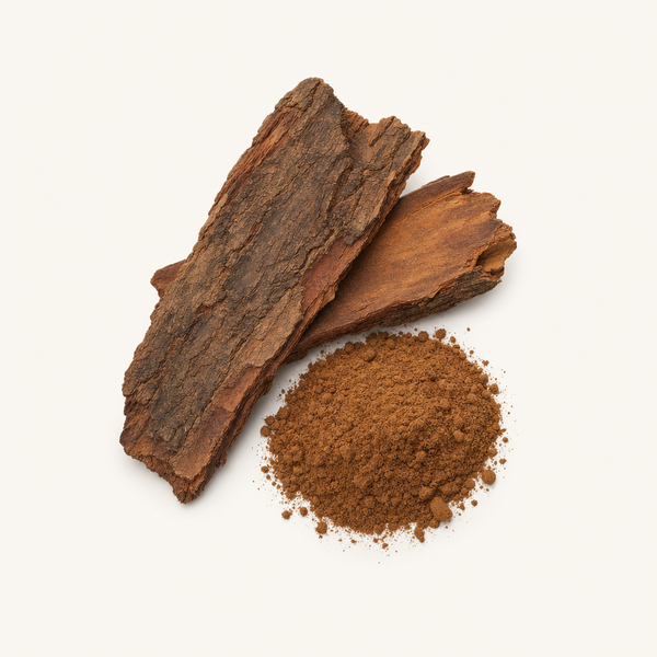 Extracto de corteza de Cerezo Africano (10 % esteroles)