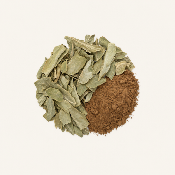 Extracto de hoja de alcachofa