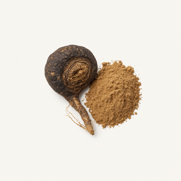 Extracto de Maca Negra 0,6% macamidas y macaenos