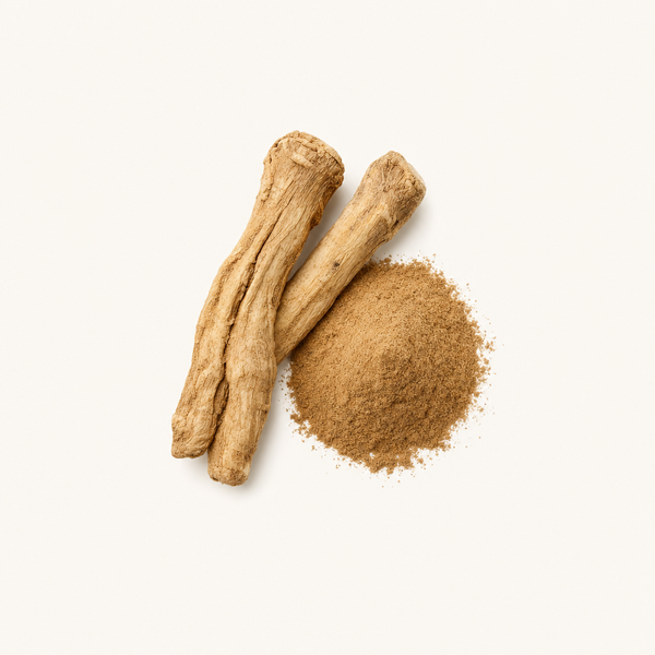 Extracto de raíz de achicoria (Cichorium intybus var. sativum) 2% flavonas