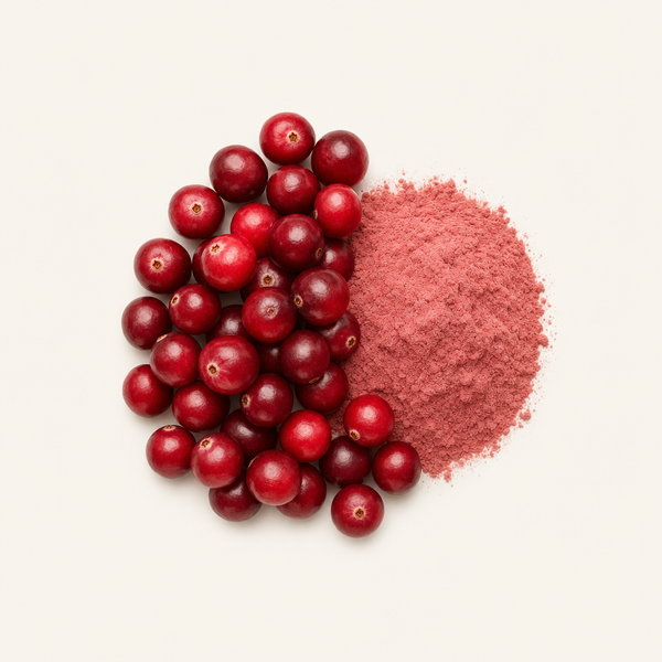 Extracto de Fruta de Arándano 25%