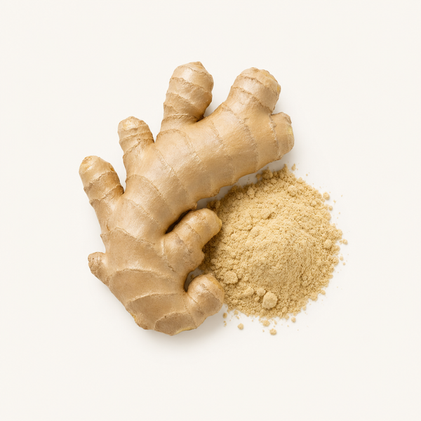 Extracto de rizoma de jengibre (Zingiber officinale) 5% gingeroles