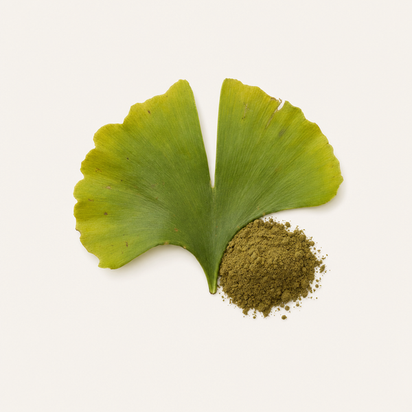 Extracto de hoja de Ginkgo biloba 24%