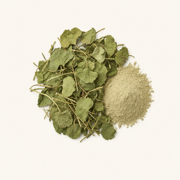 Extracto de la parte aérea de Gotu Kola 2%