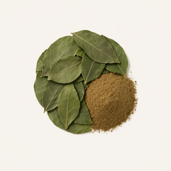 Extracto de hoja de gymnema (10:1)