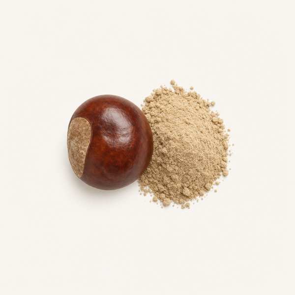 Extracto de semilla de castaño de Indias 4-6% BIO