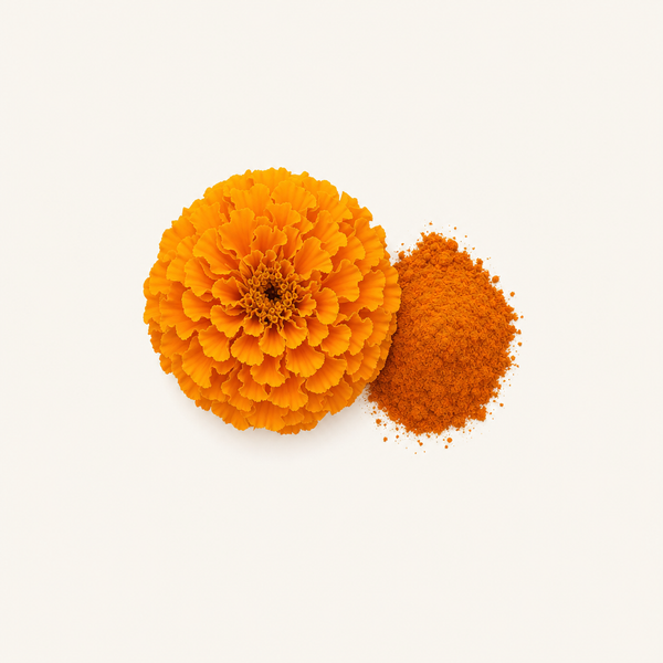 Extracto de caléndula (XanMax®)