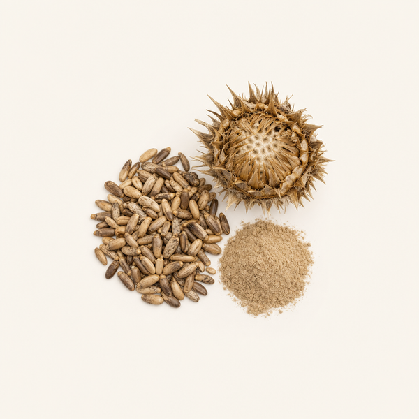 Extracto de fruta de cardo mariano 80%