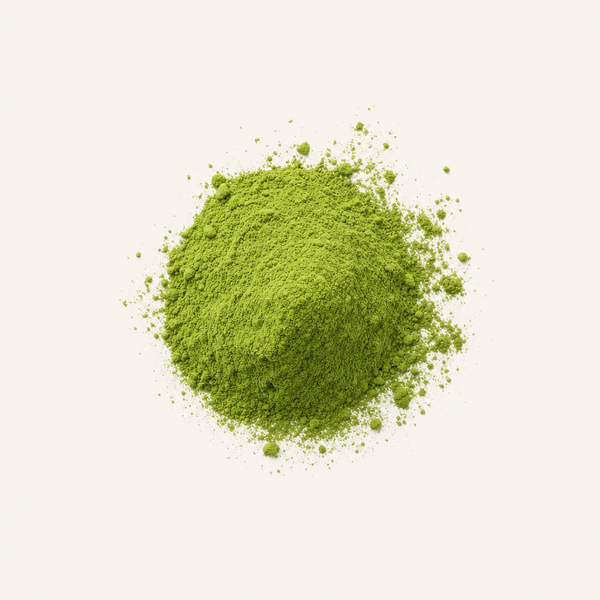 Polvo de hoja de moringa BIO
