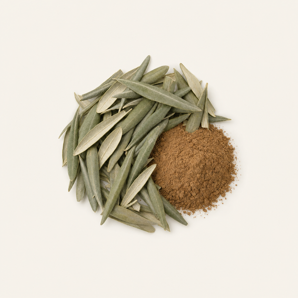Extracto de hoja de olivo (40% Oleuropeína)