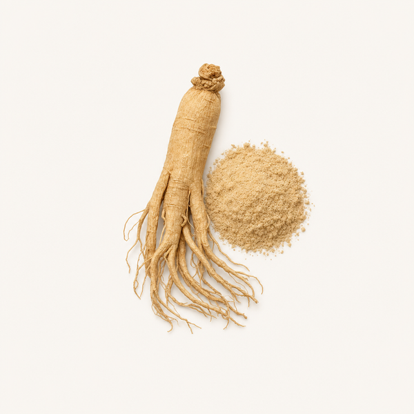 Extracto de Panax Ginseng 20% Ginsenósidos