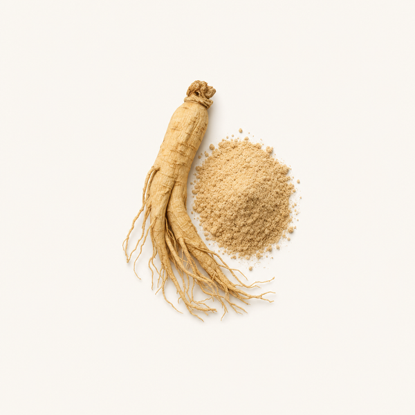 Mezcla de Extracto de Panax Ginseng (20 % Ginsenósidos)